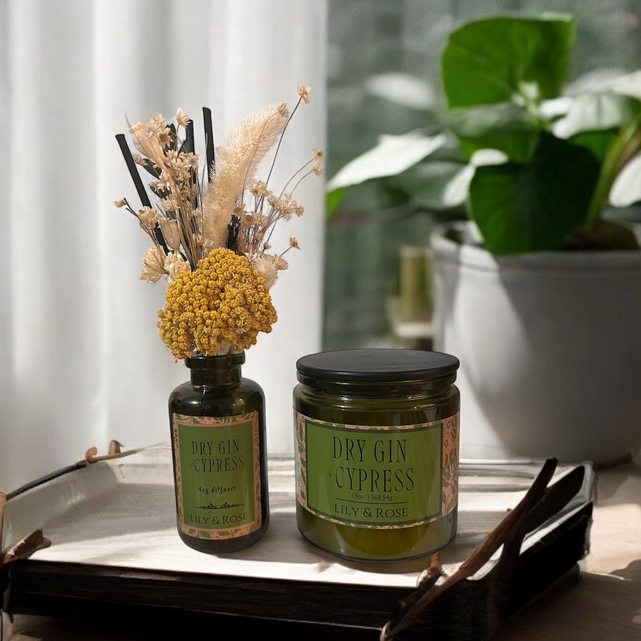 Dry Gin + Cypress | 13oz Coconut Soy | Black Wood Lid - LILY & ROSE